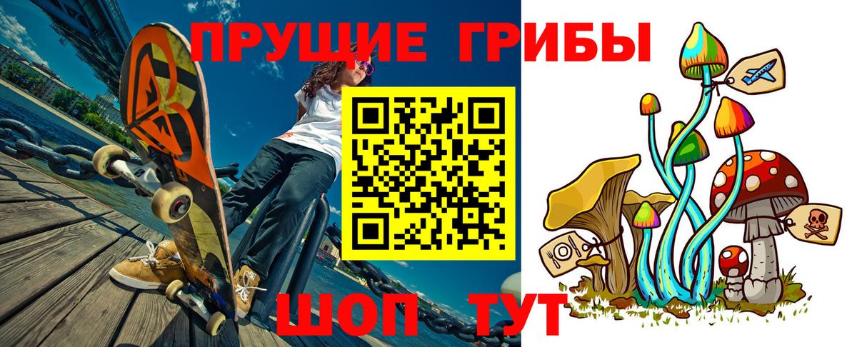 Ногинск  Псилоцибиновые грибы прущие грибы  продажа наркотиков  Вход с VPN 